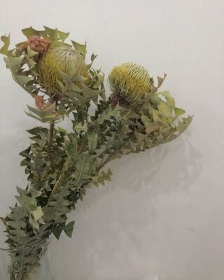 Scent セント 田園都市線 梶が谷駅の美容室scent Bennett セントアンドべネット